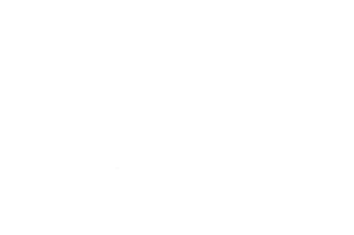 gulfofnaplesfilmfestival